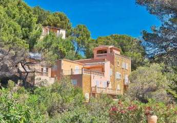 475551-Vorschaubild4