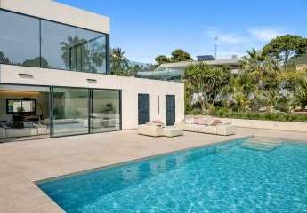 475766-Vorschaubild4