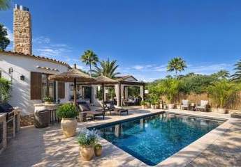 478953-Vorschaubild3