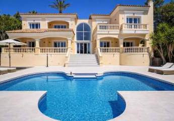 479126-Vorschaubild3