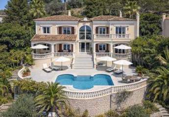 479126-Vorschaubild4