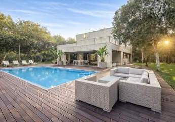 479404-Vorschaubild2