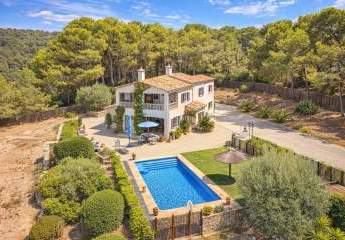 481423-Vorschaubild4