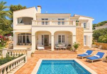 482675-Vorschaubild3