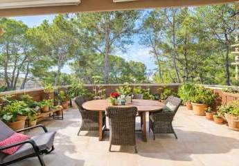 483736-Vorschaubild3