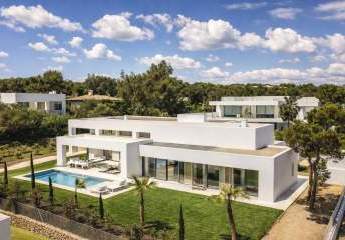 484155-Vorschaubild2