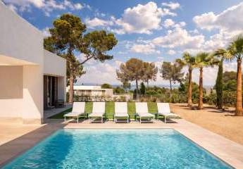 484155-Vorschaubild3