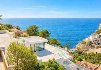 484952-Vorschaubild2