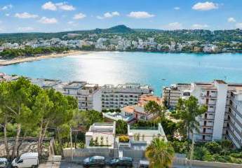 486016-Vorschaubild2