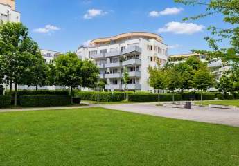 495090-Vorschaubild2