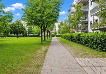 495090-Vorschaubild3