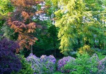 Kapitalanlage - Großzügiges Penthouse in Hamburg-Othmarschen -Nähe Jenischpark & der Elbe im Verkauf