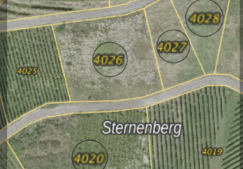 Weinberg in Bühl-Altschweier (Sternenberg) – Spätburgunder, 5.137 m², teils bestockt – Kapitalanlage