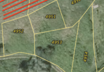 Weinberg in Bühl-Bensen (Lage Wolfhag) – ca. 1.031 m², sonnige Lage, ideal für Hobbywinzer