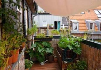 455850-Vorschaubild2