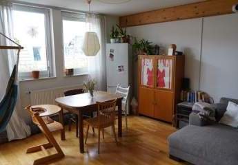 455850-Vorschaubild3