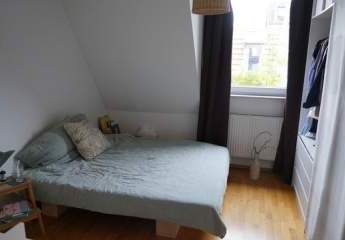 455850-Vorschaubild4