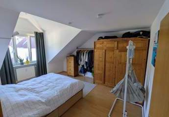 456144-Vorschaubild3