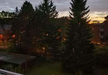 456189-Vorschaubild2