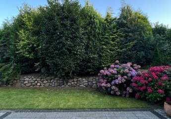 456605-Vorschaubild3