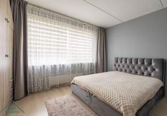 456967-Vorschaubild2