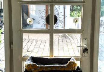 457806-Vorschaubild4