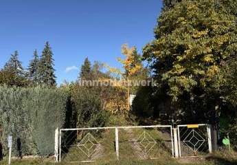 457848-Vorschaubild2