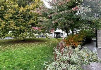 458814-Vorschaubild4