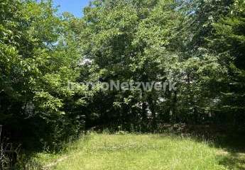 Herrliches Baugrundstück mit altem Baumbestand in ruhiger und zentraler Wohnlage