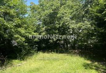 459638-Vorschaubild2