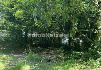 459638-Vorschaubild3