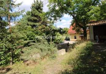 458428-Vorschaubild4