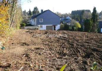 460443-Vorschaubild4