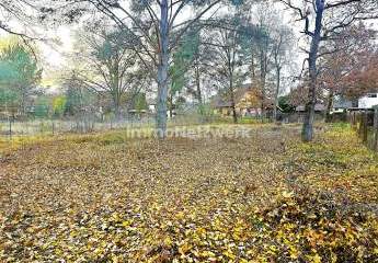 461891-Vorschaubild2