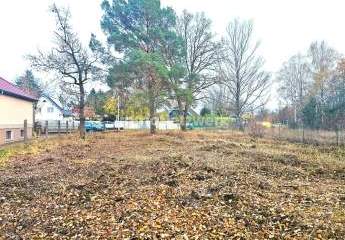 461891-Vorschaubild3