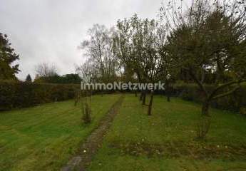 462887-Vorschaubild3