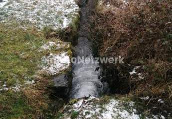 463635-Vorschaubild2