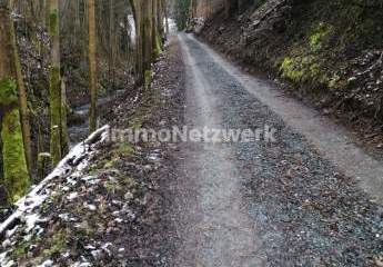 463635-Vorschaubild3