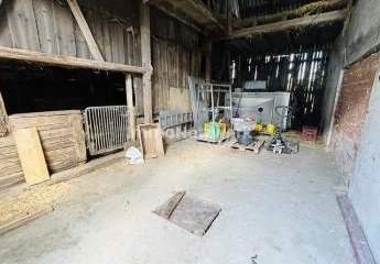 464935-Vorschaubild4