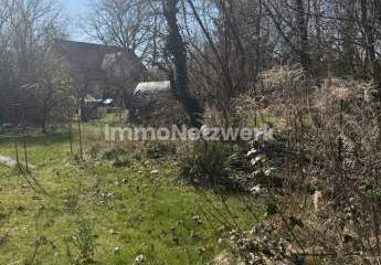 Rarität in Potsdam-Bornstedt - Phantastisches Grundstück in Bestlage