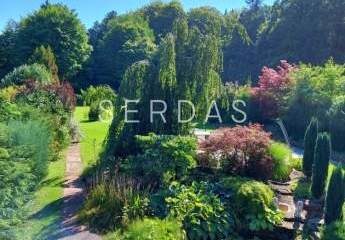 466884-Vorschaubild2