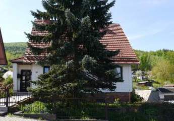 457796-Vorschaubild2