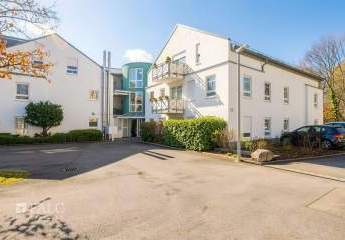 481304-Vorschaubild2