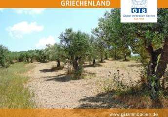 458305-Vorschaubild2