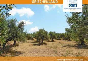 458305-Vorschaubild4