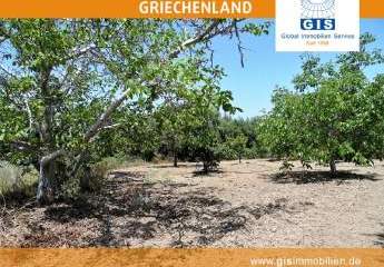 458306-Vorschaubild3