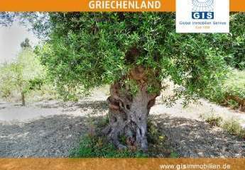 458306-Vorschaubild4