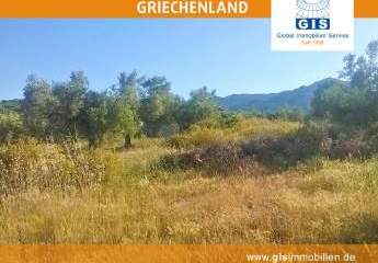 458307-Vorschaubild3