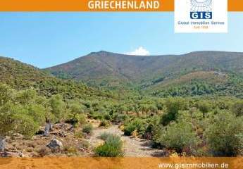 458309-Vorschaubild3