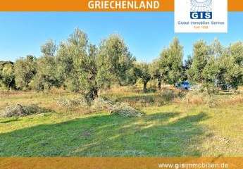 458312-Vorschaubild3